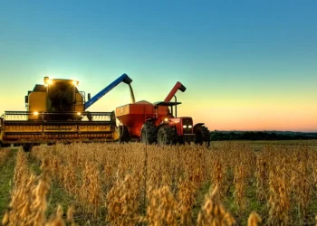 Depois do aumento do preço do petróleo, as commodities agrícolas se tornam o próximo campo de batalha — descubra como aproveitar o novo ciclo