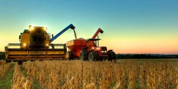 Depois do aumento do preço do petróleo, as commodities agrícolas se tornam o próximo campo de batalha — descubra como aproveitar o novo ciclo
