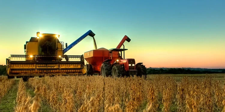 Depois do aumento do preço do petróleo, as commodities agrícolas se tornam o próximo campo de batalha — descubra como aproveitar o novo ciclo