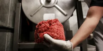 Minerva registra um lucro de R$ 85 milhões no quarto trimestre e propõe R$ 30,8 milhões em dividendos
