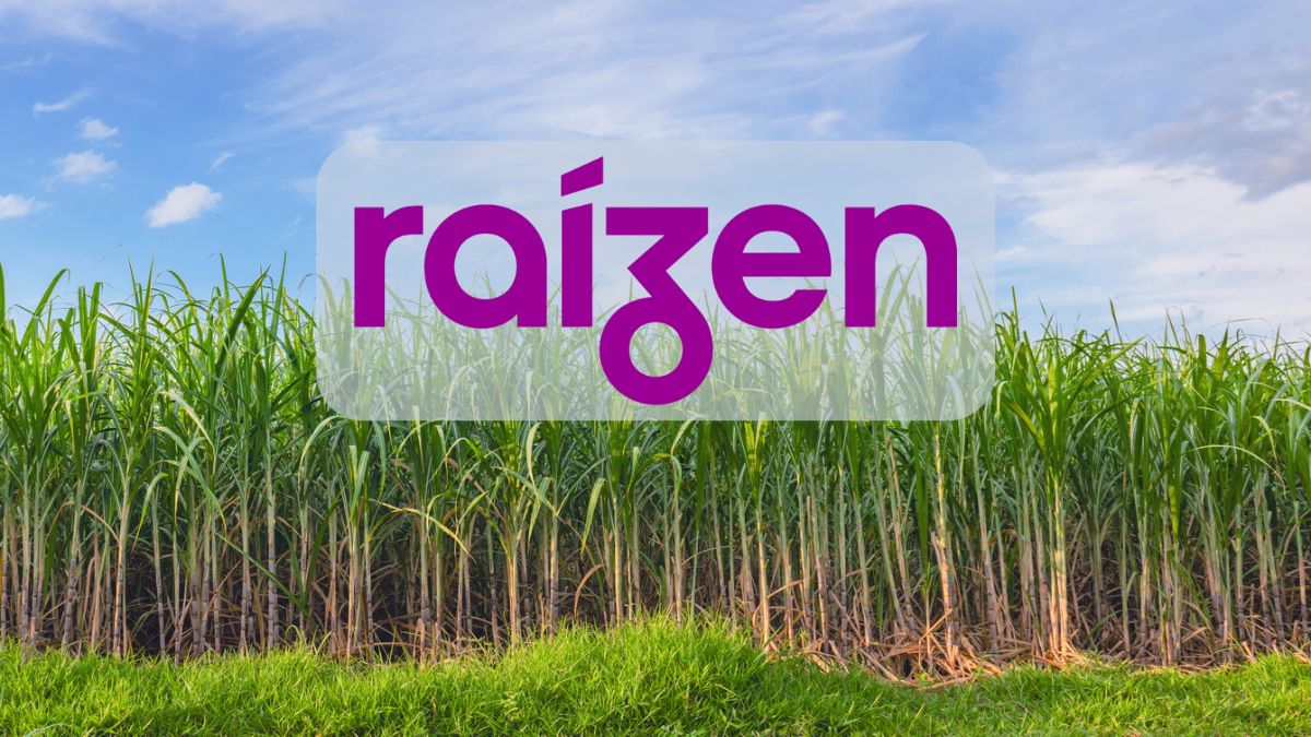 Raízen (RAIZ4) inicia negociações para transformar R$ 29 bilhões em dívidas em ações, afirmam fontes