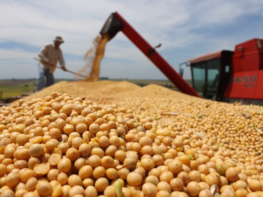 A produção de soja no Brasil está crescendo — qual é o impacto disso no SNFZ11?