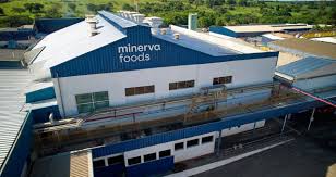 Minerva (BEEF3) registra uma receita de R$ 13,4 bilhões no primeiro trimestre de 2026, porém o lucro de R$ 87 milhões enfrenta pressão