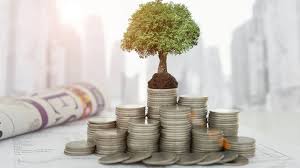 Eco Invest: Governo aguarda R$ 50 bilhões para novas startups