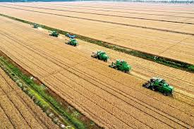Brasil busca expandir a participação do agronegócio no mercado chinês — SNAG11 e SNFZ11 seguem a tendência
