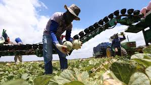 Elmano: o agronegócio do Ceará exportou US$ 496 milhões em 2025