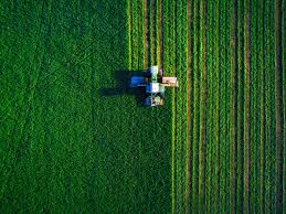 SNFZ11 concentra sua exposição em estado que responde por 25% da produção de soja do Brasil