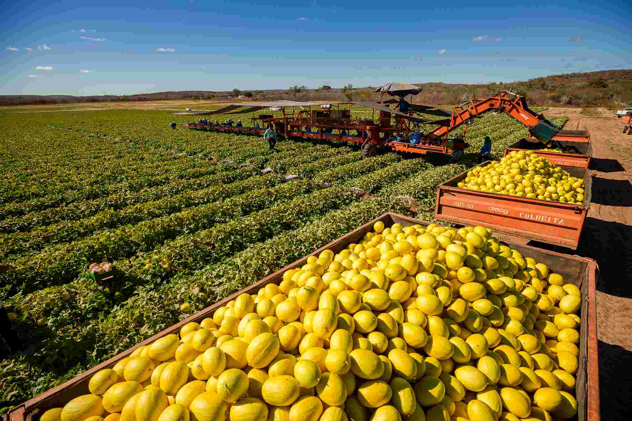 “Cresce Ceará” apresenta os obstáculos do agronegócio: a logística e a energia
