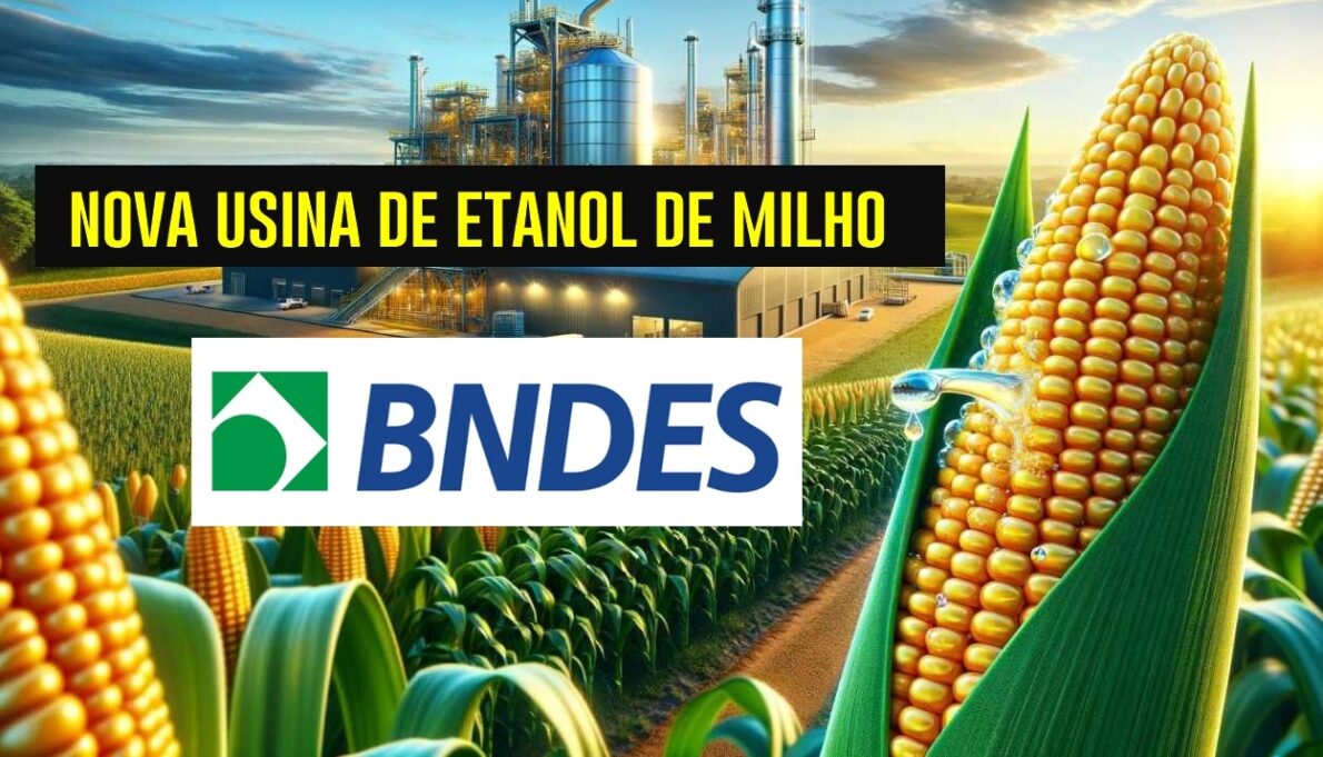 Verdinhas: FS recebe R$ 500 milhões do BNDES para nova fábrica de etanol de milho