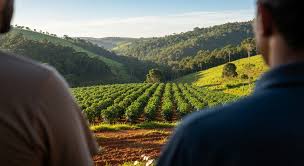 Na política de pagamentos por serviços ambientais, o governo restringe os repasses ao setor agro