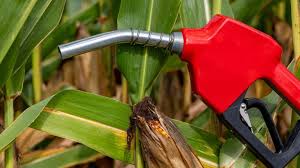 Governo projeta elevação do etanol na gasolina de 30% para 32%; confira o que pode alterar o valor do combustível