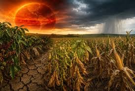 Setor agro em alerta: El Niño pode afetar safra, pecuária e preços em 2026; confira recomendações de especialistas