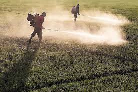 Reino Unido pretende proibir a importação de produtos agrícolas provenientes de regiões desmatadas