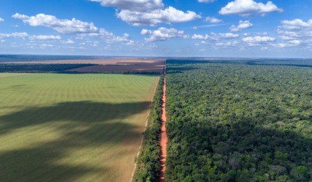 SEC oficializa proposta para eliminar a transparência climática