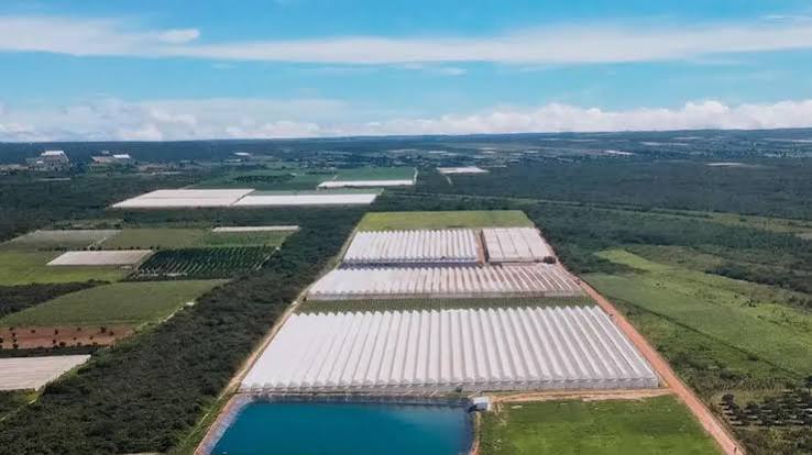 No Ceará, o cultivo protegido pode ter um futuro promissor no litoral
