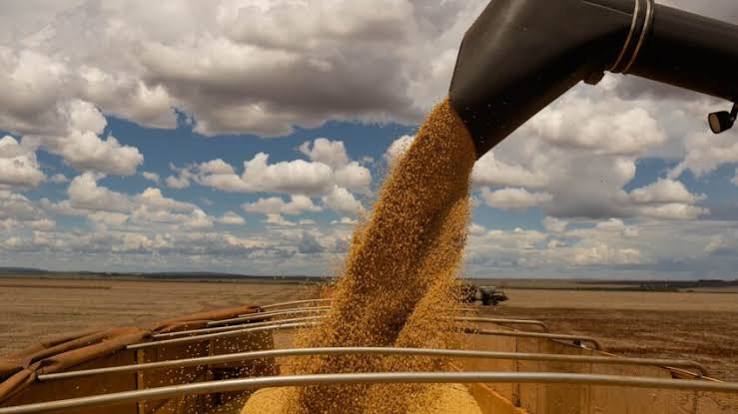 De acordo com um estudo, o término da Moratória da Soja pode elevar o desmatamento na Amazônia em 17%.