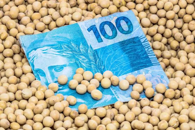 BTAL11: Fiagro divulga dividendos mensais de 1,14%; confira o valor