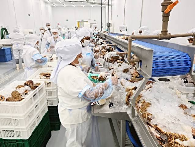 A economia do Ceará exporta produtos sem valor agregado