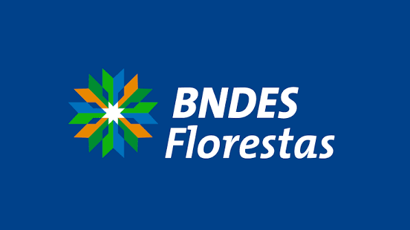 BNDES inicia a segunda etapa do ProFloresta+, expandindo para além da Petrobras