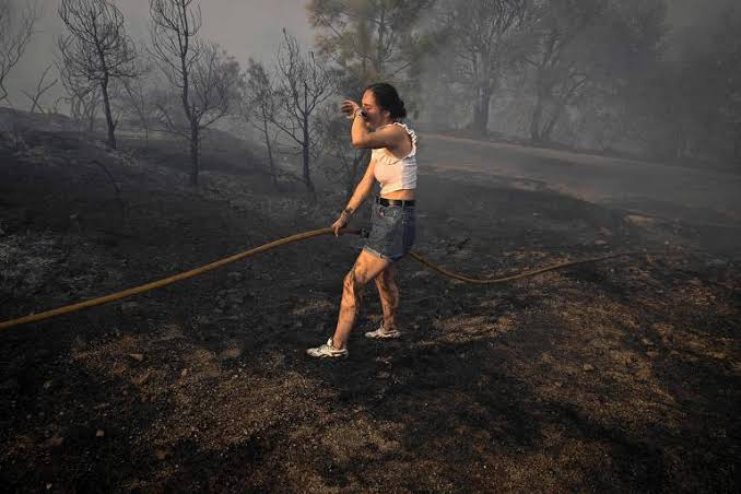 Na Europa, incêndios florestais e altas temperaturas já causaram prejuízos superiores a € 3 bilhões