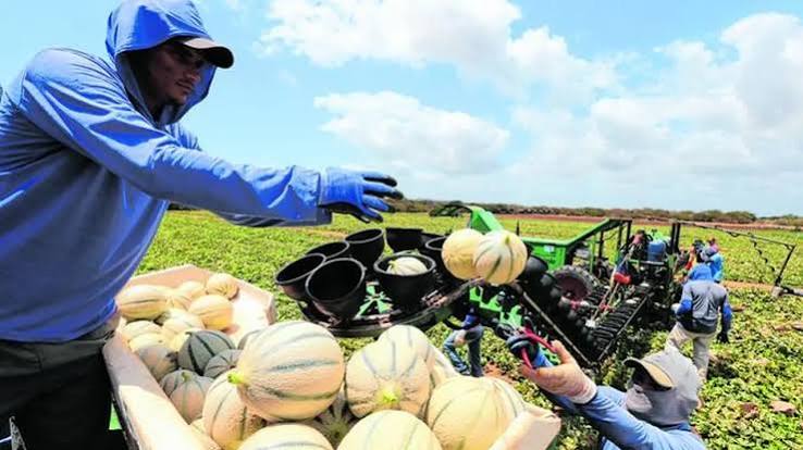 Agro cearense celebra com exposições e “Dia de Campo”