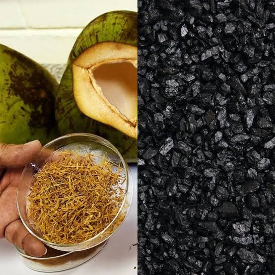Usina no Ceará recebe primeira remessa de carvão vegetal produzido com casca de coco