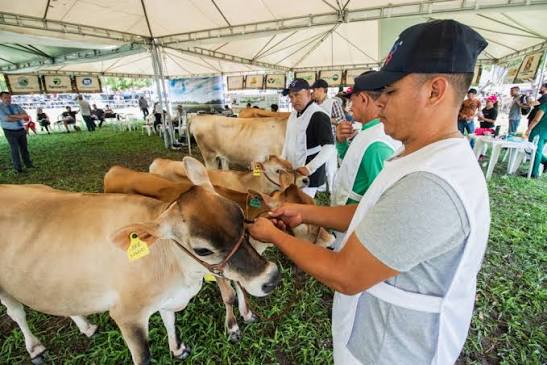 Expoece deve atrair 300 mil visitantes e gerar uma receita de R$ 30 milhões em 2026
