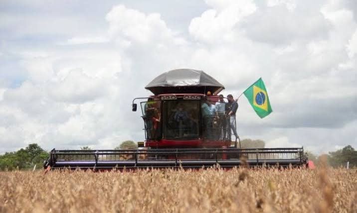 Brasil se estabelece como garantidor alimentar, porém a dependência de insumos compromete as margens