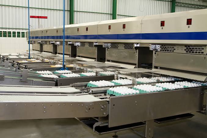 A empresa planeja investir R$ 72 milhões em uma nova unidade de produção no Ceará