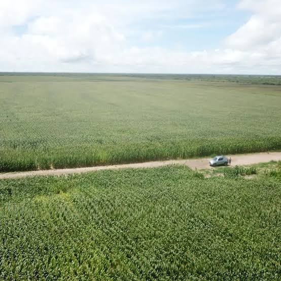 A recente fronteira agrícola do Ceará é a região do Cariri