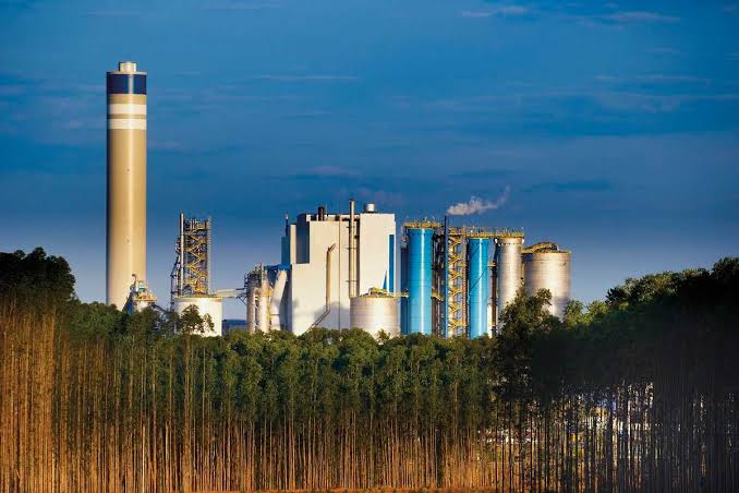 A Suzano aumentou o preço da celulose em US$ 50 para os mercados da Europa e América do Norte
